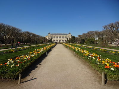 フランス パリ 植物園