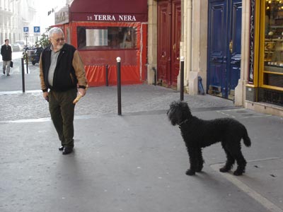 フランス パリ 犬