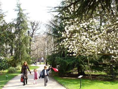 フランス パリ リュクサンブール公園