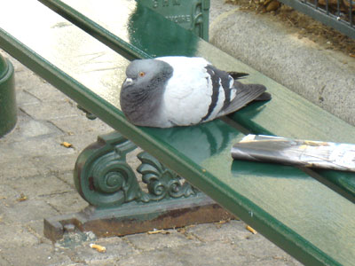 フランス パリ 公園