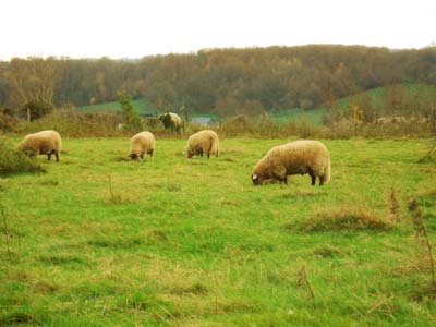 フランス パリ ジェルブロア