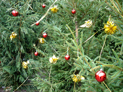 フランス パリ クリスマスツリー