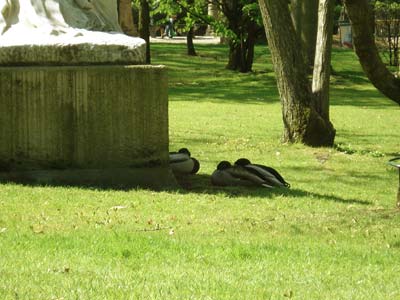 フランス パリ リュクサンブール公園