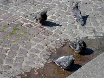 フランス パリ パリの街角