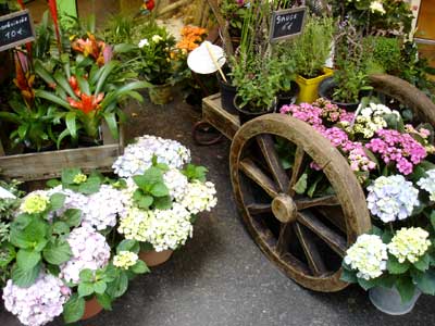 フランス パリ 花屋