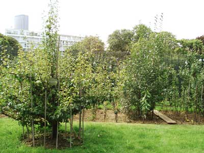 フランス パリ リュクサンブール公園