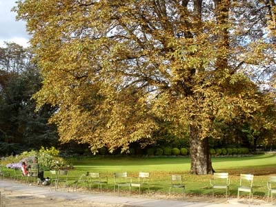 フランス パリ リュクサンブール公園