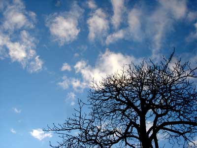 フランス パリ 青空