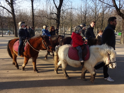 リュクサンブール公園のポニー