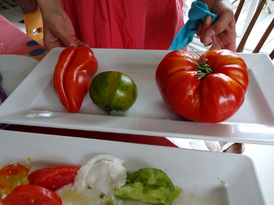 フランス 野菜 トマト