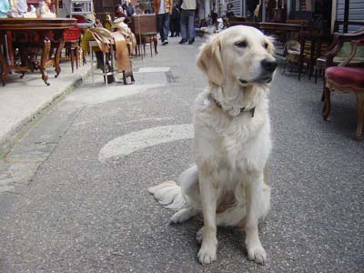 フランス クリニャンクールの蚤の市