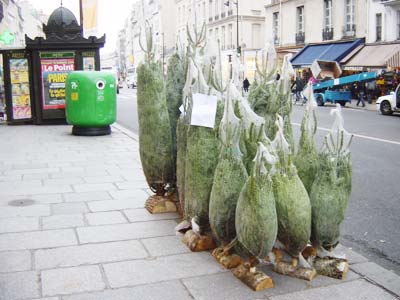 フランス クリスマスツリー