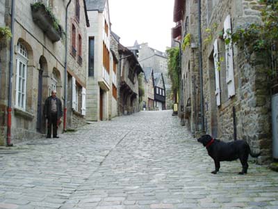 フランス 田舎 犬