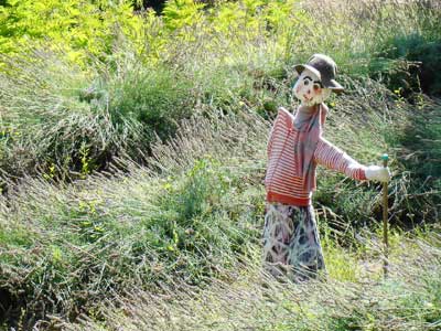 南仏プロヴァンス 田舎