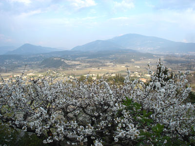 南フランス 風景