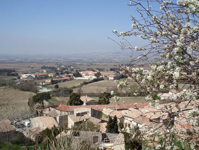南フランス 旅行 観光