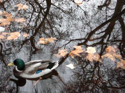 リュクサンブール公園